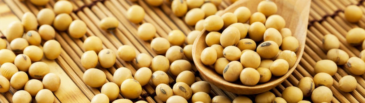 Зниження білка в бразильської сої може призвести до торгової катастрофи