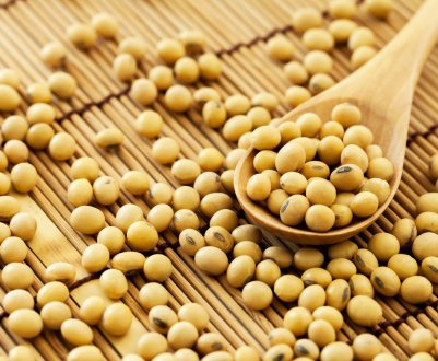 Зниження білка в бразильської сої може призвести до торгової катастрофи