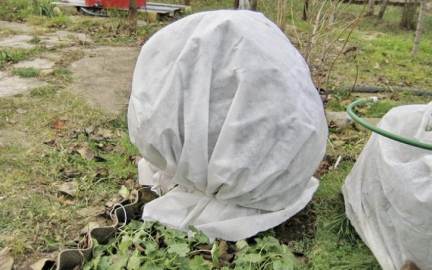 Укриття на зиму