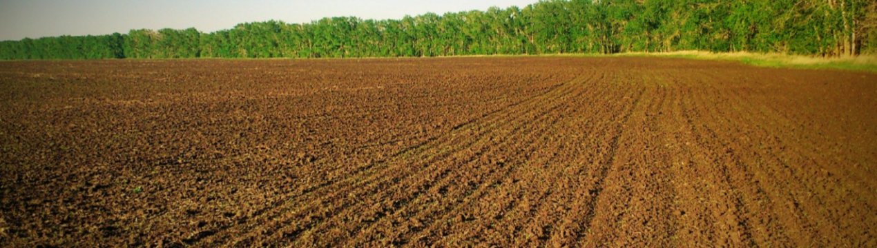 Названі області України, де продається найбільше земельних паїв