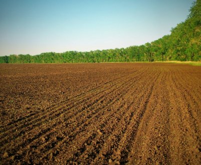 Названі області України, де продається найбільше земельних паїв