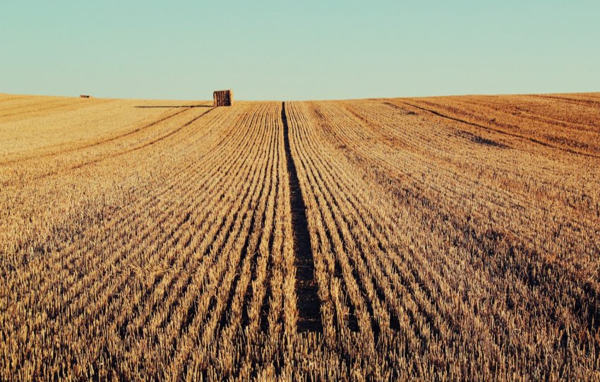 Названі області України, де продається найбільше земельних паїв Названі області України, де продається найбільше земельних паїв