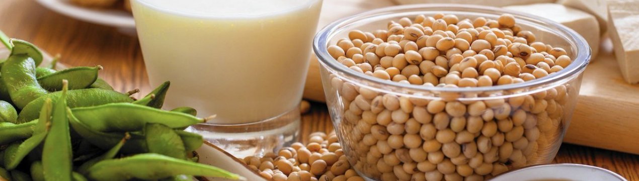 На Амурських просторах зливи не пощадили поля з соєю