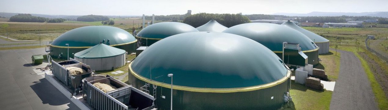 Ладижинська птахофабрика обзавелася біогазовою установкою