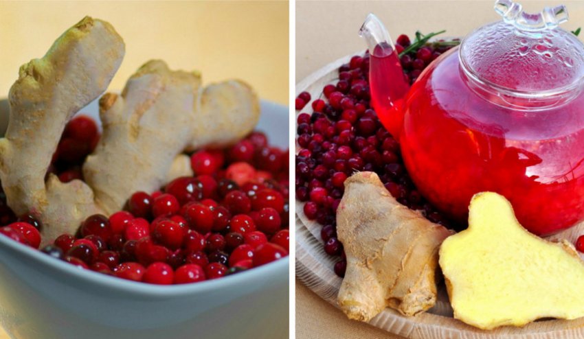 Журавлина з імбиром Журавлина з імбиром