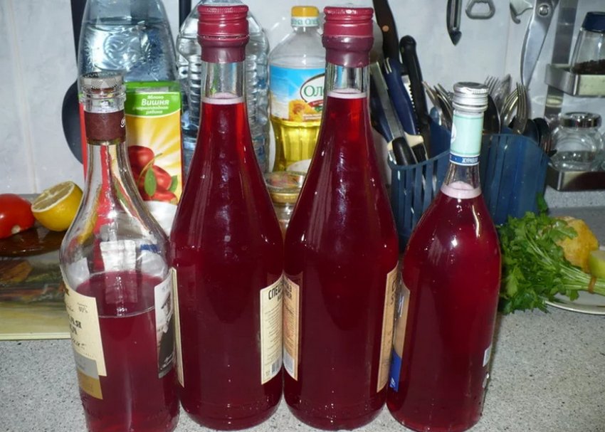 Журавлинна настоянка без цукру Журавлинна настоянка без цукру