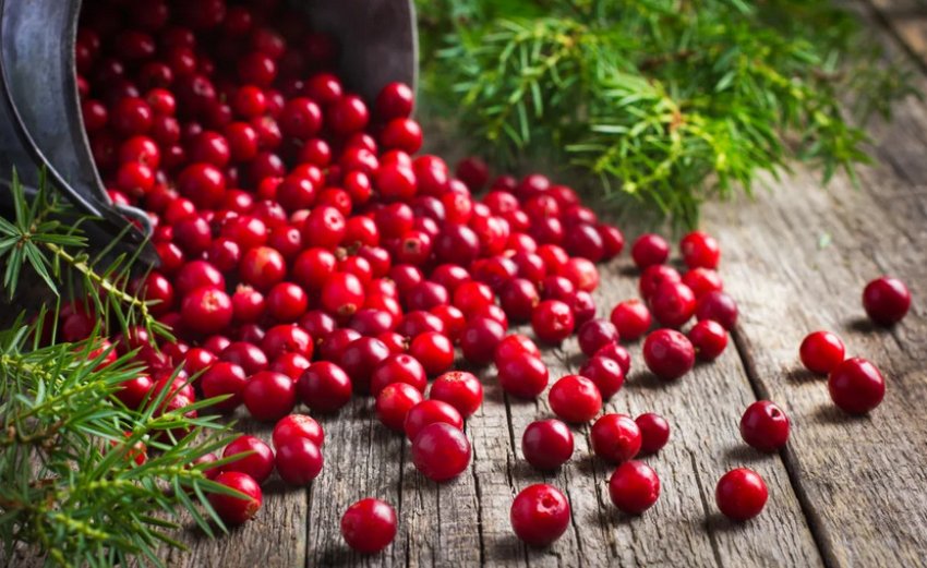 Ягоди журавлини Ягоди журавлини