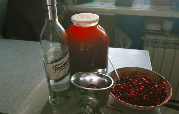 Клюква на спирту: рецепты приготовления в домашних условиях