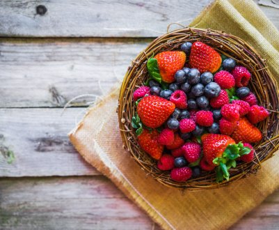 Молдавське училище почне готувати кваліфікованих виробників ягід