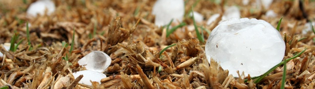 Град пошкодив 30 тисяч гектарів сільгоспугідь Німеччини