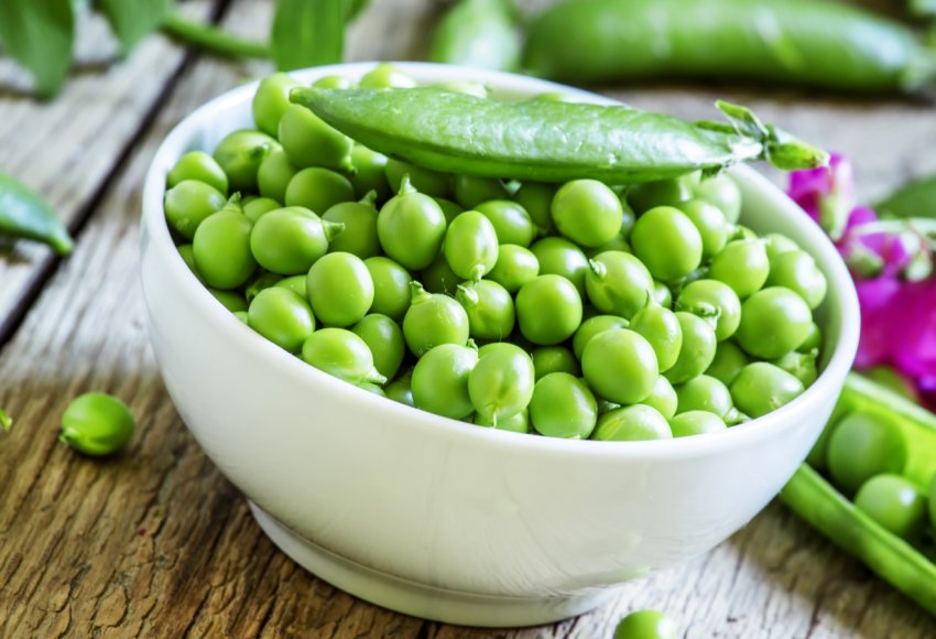 Татарські аграрії вирушили на горохові плантації Татарські аграрії вирушили на горохові плантації