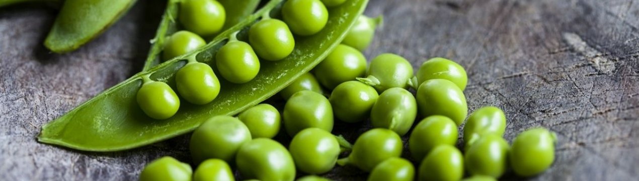 Татарські аграрії вирушили на плантації горохові