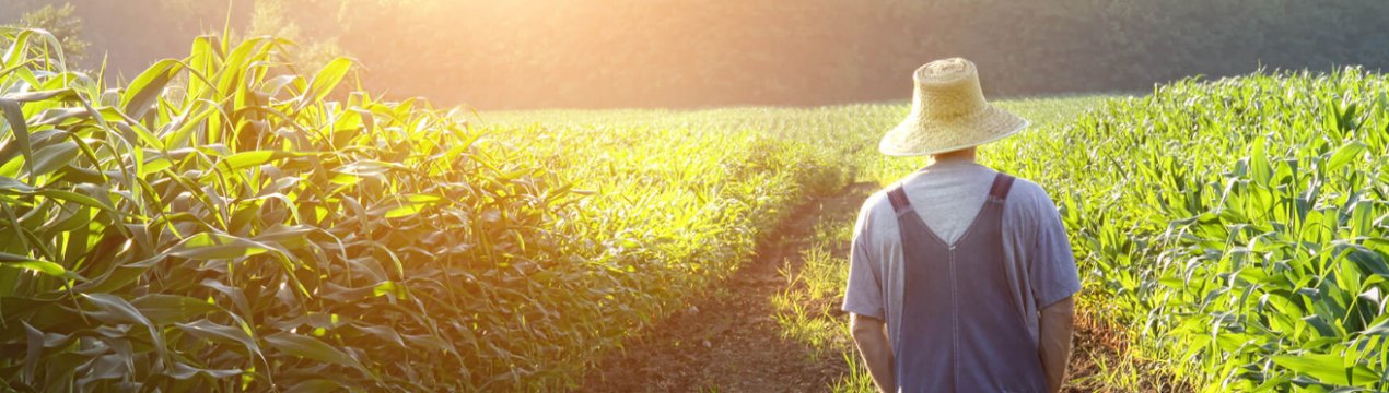 Український бізнес може вирішити проблему дефіциту кадрів в АПК