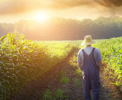 Український бізнес може вирішити проблему дефіциту кадрів в АПК