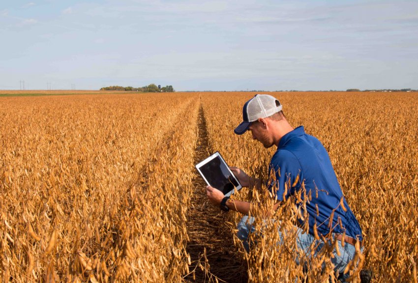 Український бізнес може вирішити проблему дефіциту кадрів в АПК