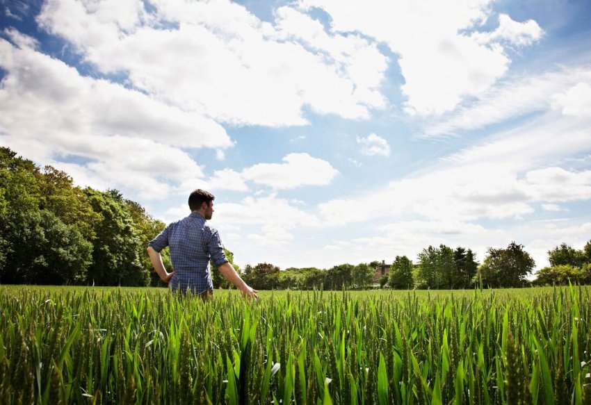 Український бізнес може вирішити проблему дефіциту кадрів в АПК