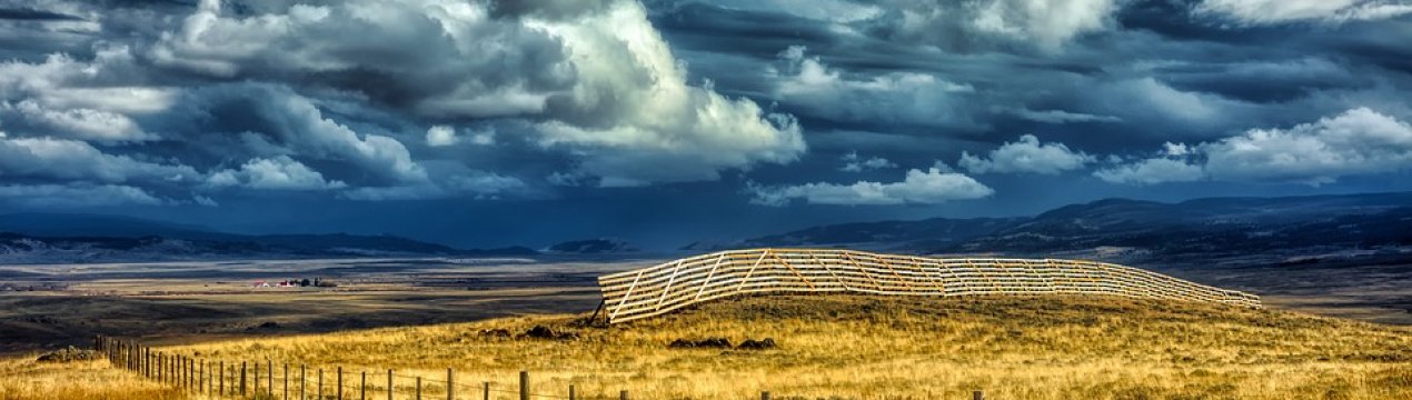 Незважаючи на мораторій, земля на Донбасі успішно реалізується через Інтернет