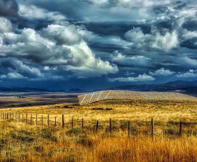 Незважаючи на мораторій, земля на Донбасі успішно реалізується через Інтернет