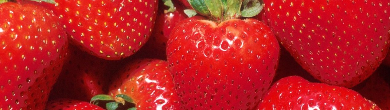 Українські переробники компенсують дефіцит місцевої полуниці імпортним продуктом