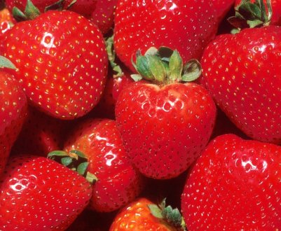 Українські переробники компенсують дефіцит місцевої полуниці імпортним продуктом