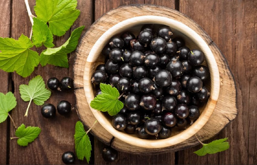Ягоди чорної смородини