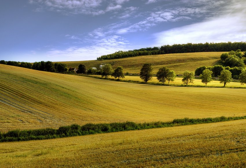 Незважаючи на мораторій, земля на Донбасі успішно реалізується через Інтернет Незважаючи на мораторій, земля на Донбасі успішно реалізується через Інтернет