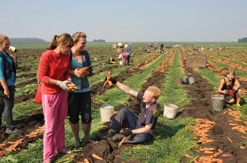 Серед голів сімейних фермерських господарств України лише 10 відсотків жінок
