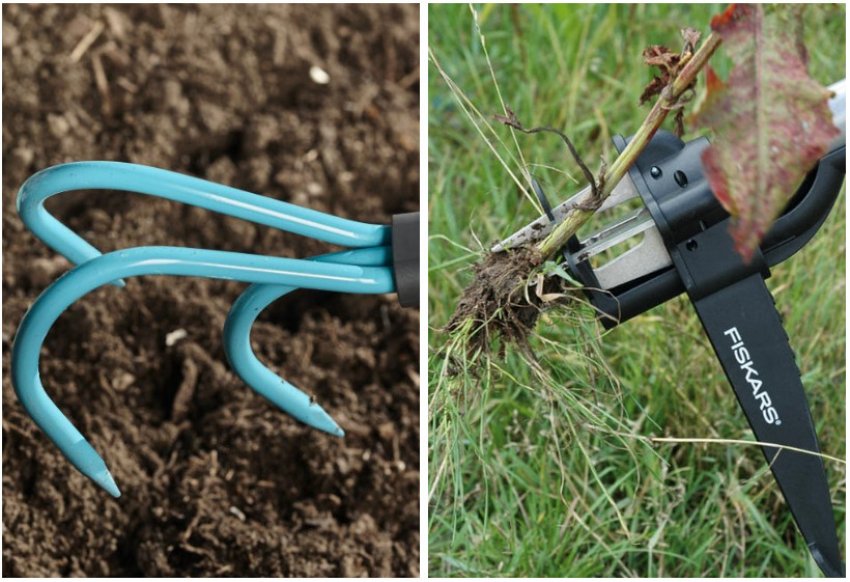 Розпушування грунту та видалення бур'янів