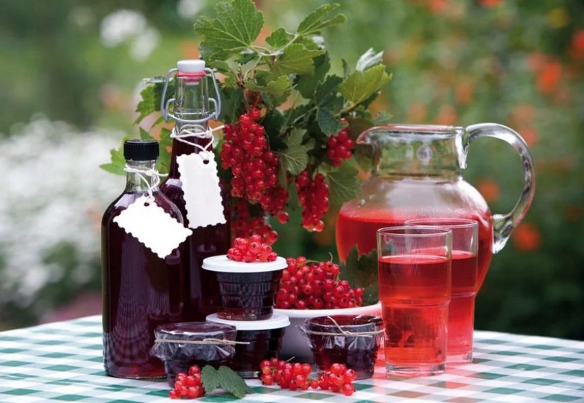 Вино з червоної смородини