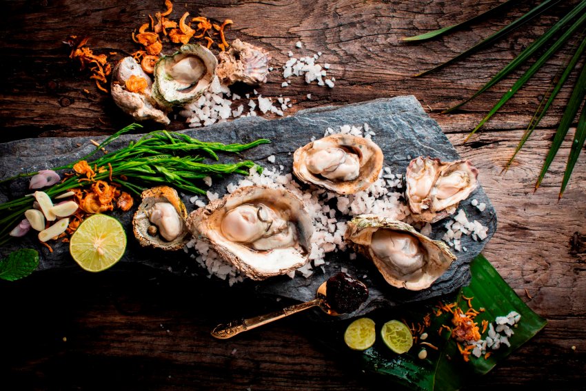 В бухті Ласпі вирощують два мільйони устриць