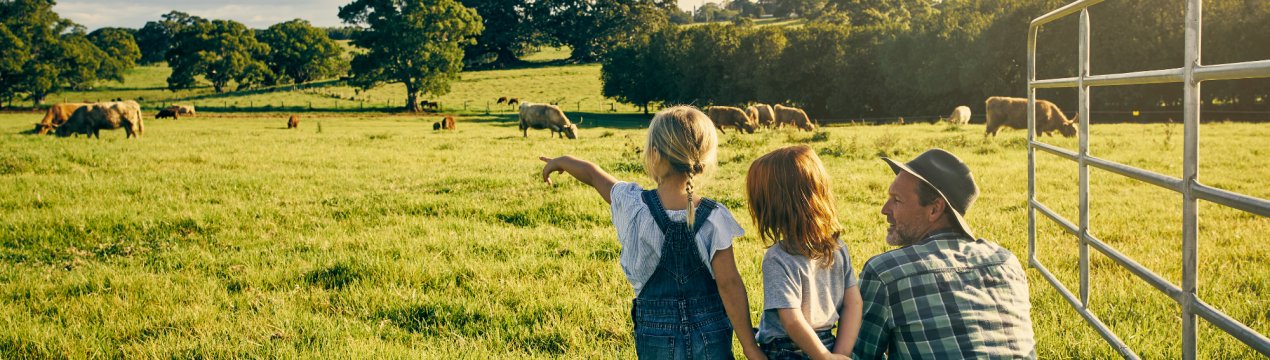 У Дагестані перспективних фермерів нагородять мотокультиватори і доїльним апаратом