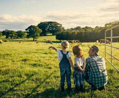У Дагестані перспективних фермерів нагородять мотокультиватори і доїльним апаратом 