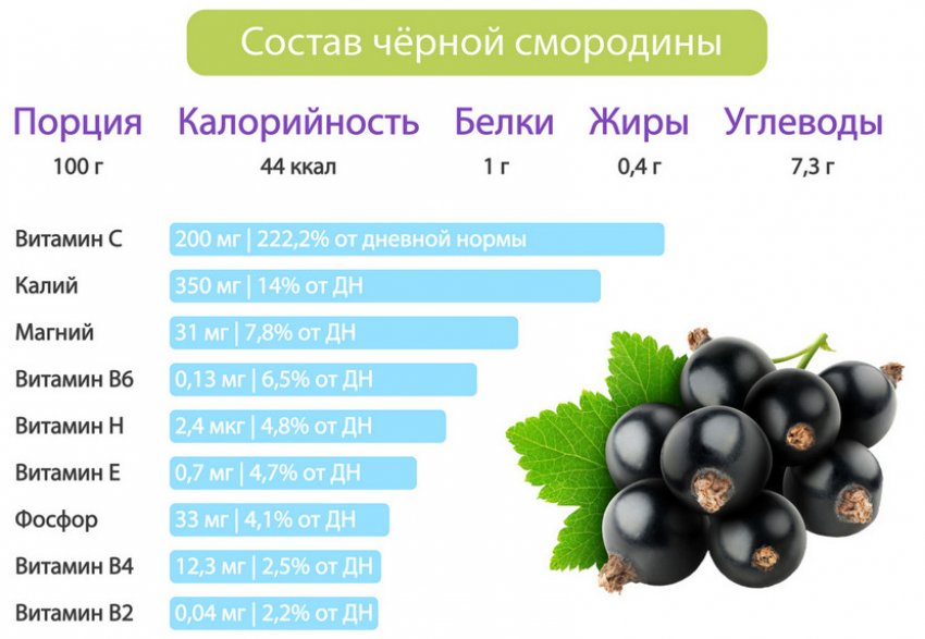 Смородина сорт тисель отзывы. 109140.pv5cfc.850. Смородина сорт тисель отзывы фото. Смородина сорт тисель отзывы-109140.pv5cfc.850. картинка Смородина сорт тисель отзывы. картинка 109140.pv5cfc.850. Дачный форум: о даче, о цветах, о вашем приусадебном участке