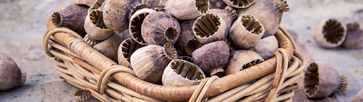 Поліція заарештувала незаконний урожай полтавського аграрія