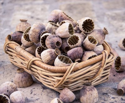 Поліція заарештувала незаконний урожай полтавського аграрія