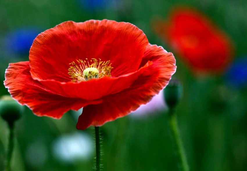 Поліція заарештувала незаконний урожай полтавського аграрія Поліція заарештувала незаконний урожай полтавського аграрія