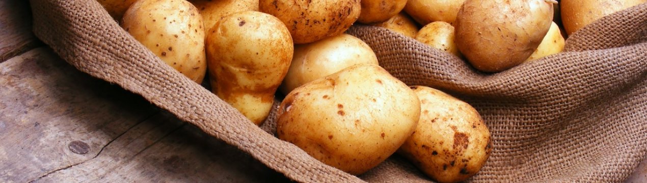 Європа збільшила виробництво картоплі