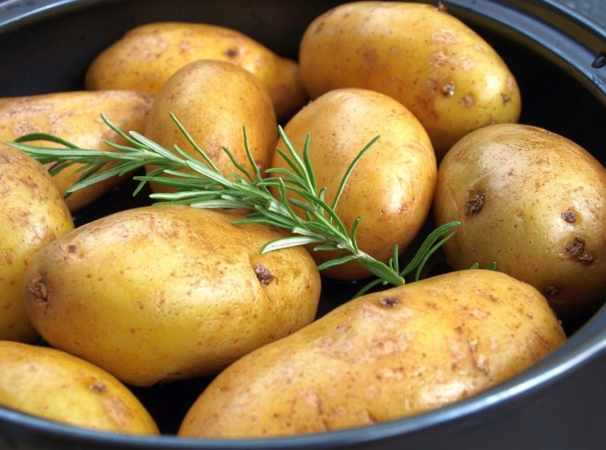 Європа збільшила виробництво картоплі Європа збільшила виробництво картоплі