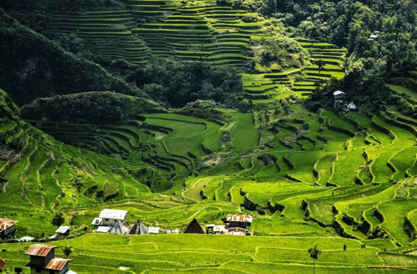 Індії не вистачає мусонів Індії не вистачає мусонів