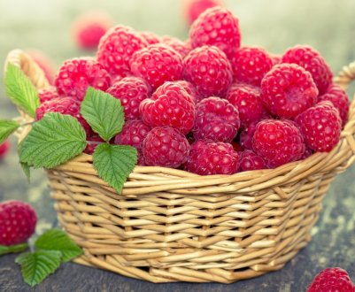 Одеські студенти пройшли стажування у провідних аграріїв області