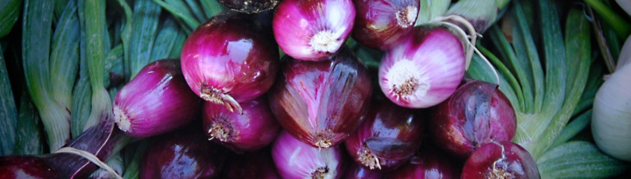 Ціни на цибулю в Україні будуть знижуватися і надалі