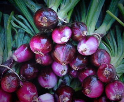 Ціни на цибулю в Україні будуть знижуватися і надалі