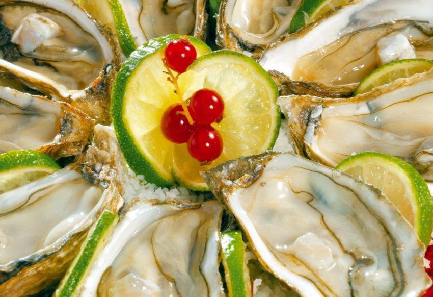 В бухті Ласпі вирощують два мільйони устриць