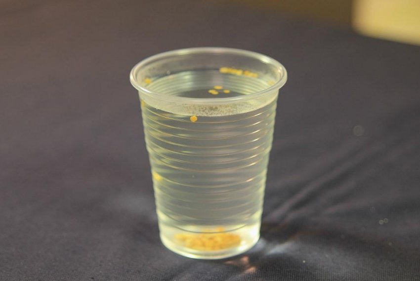 Насіння в розчині