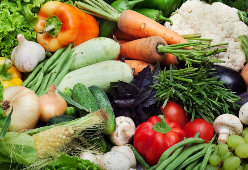 В Дагестані перспективних фермерів нагородять мотокультиватори і доїльним апаратом В Дагестані перспективних фермерів нагородять мотокультиватори і доїльним апаратом