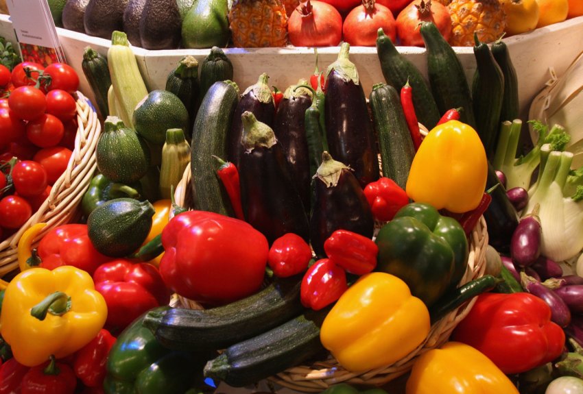 В Дагестані перспективних фермерів нагородять мотокультиватори і доїльним апаратом В Дагестані перспективних фермерів нагородять мотокультиватори і доїльним апаратом