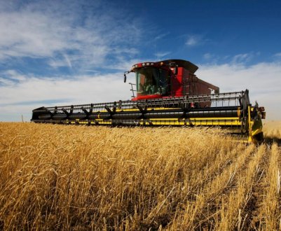 Львівська область готується прийняти фестиваль, організований аграріями