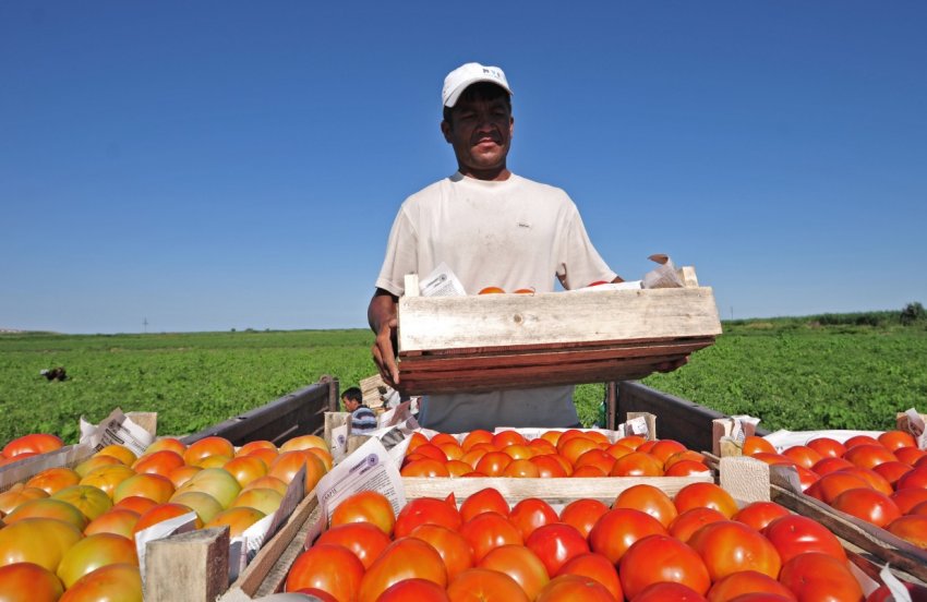 Львівська область готується прийняти фестиваль, організований аграріями