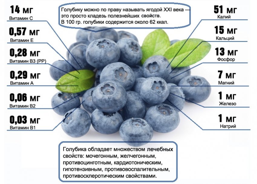 Витаминный состав ягод голубики