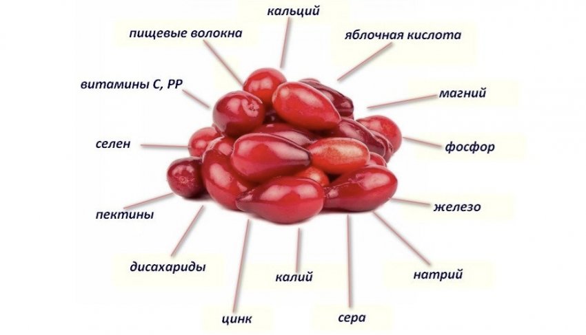 Складу ягід кизилу
